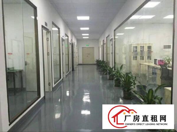 
布吉上水径独门独院1480平标准厂房