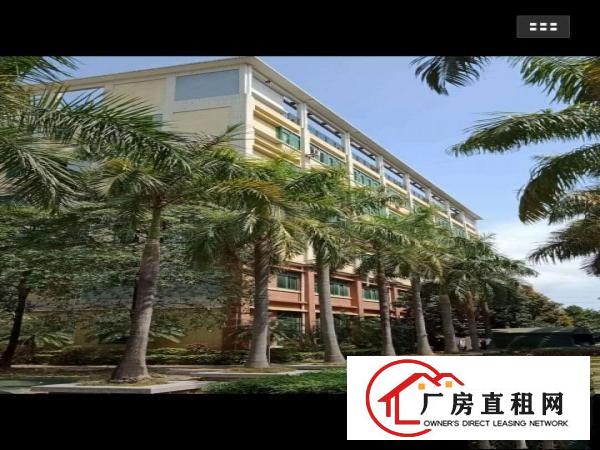 
花园厂房300、400、650坪，丹竹头莲塘工业区，