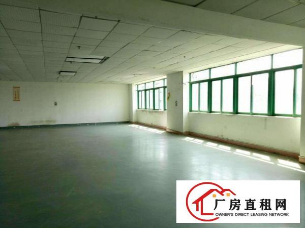 
花园厂房300、400、650坪，丹竹头莲塘工业区，