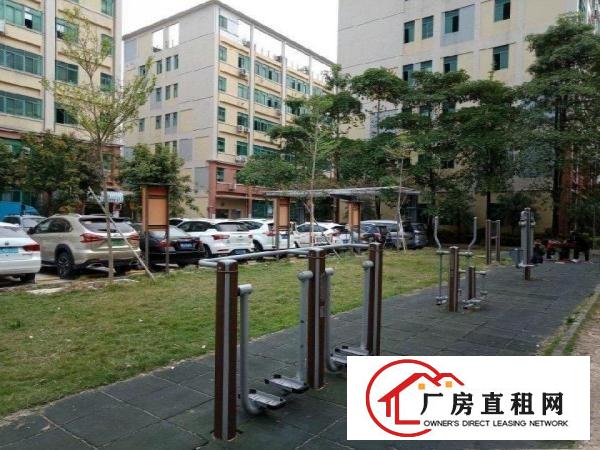 
丹竹头宝丹路厂房350平米