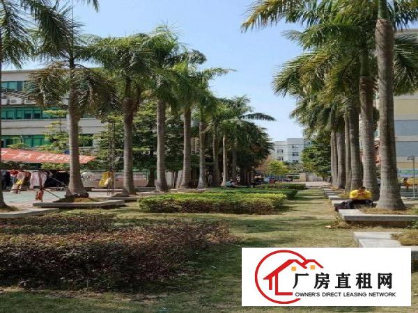 
丹竹头宝丹路厂房350平米