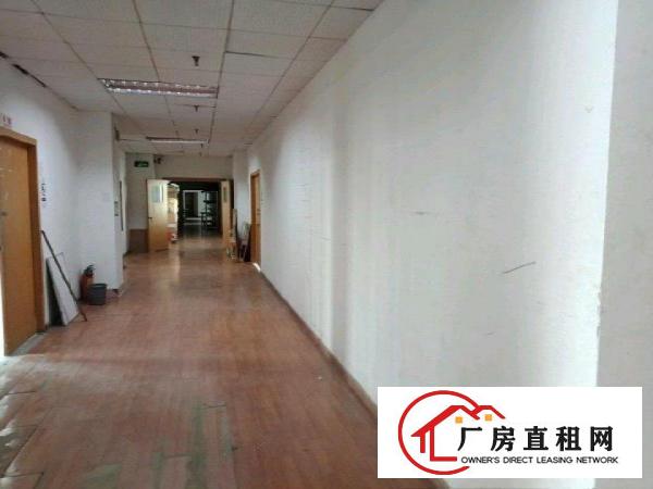 
丹竹头宝丹路厂房350平米