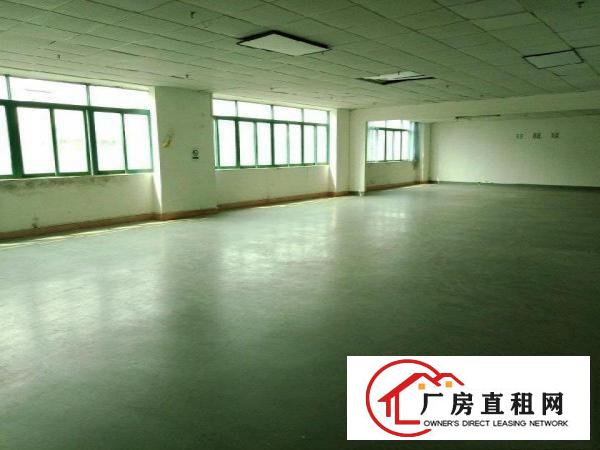 
丹竹头宝丹路厂房350平米
