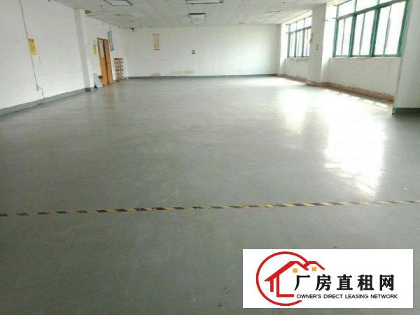 
丹竹头宝丹路厂房350平米
