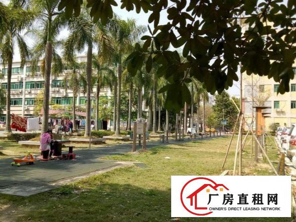 
布吉宝丹路250/350/400坪正规厂房，即刻入驻