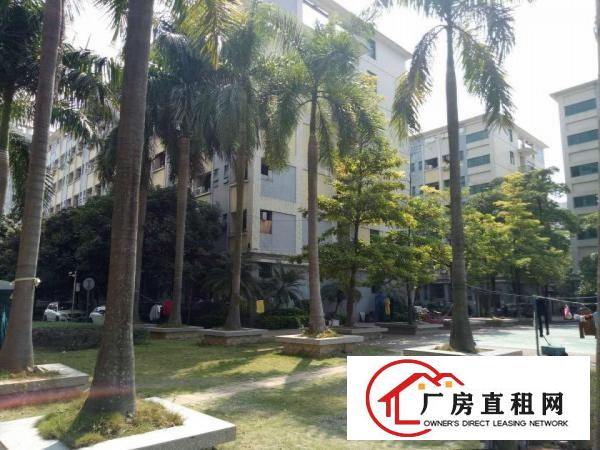 
布吉宝丹路250/350/400坪正规厂房，即刻入驻