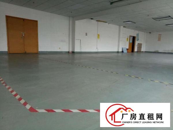 
布吉宝丹路250/350/400坪正规厂房，即刻入驻