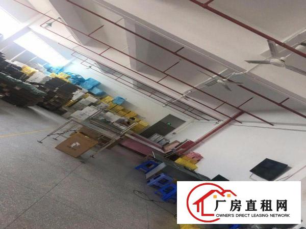 
出租布吉布吉周边