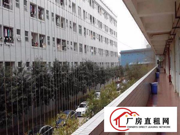 
布吉百门前工业区全新装修宿舍