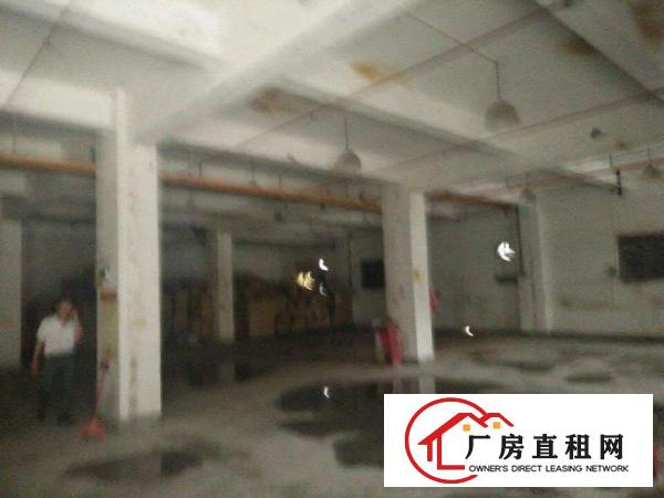 
秀峰工业区1楼厂房1480平米出租