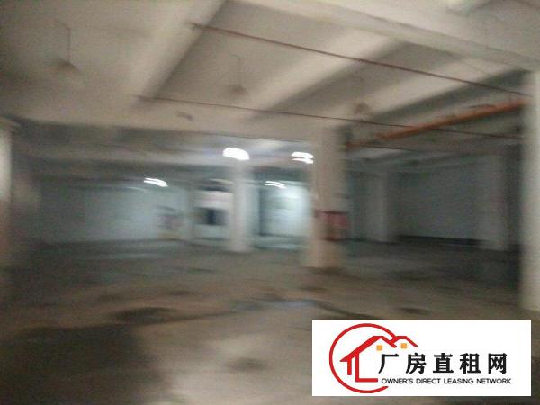 
秀峰工业区1楼厂房1480平米出租