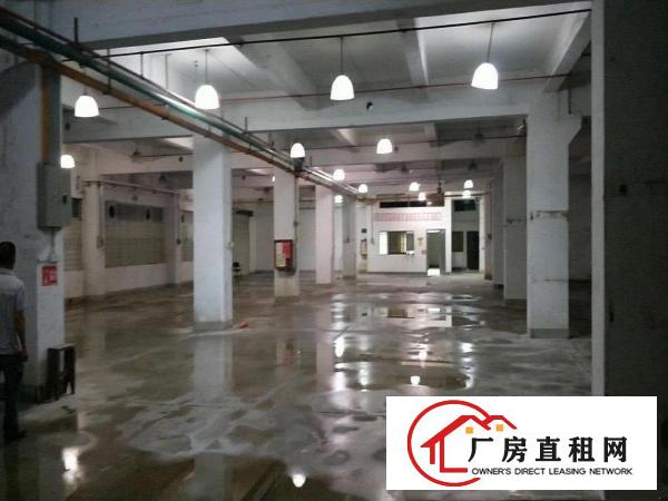 
布吉秀峰工业城一楼厂房1580平米