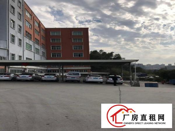 
丹竹头物流园厂房300平米业主直租
