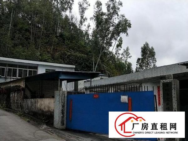 
丹竹头横岗镇深坑村独院厂房1000平米