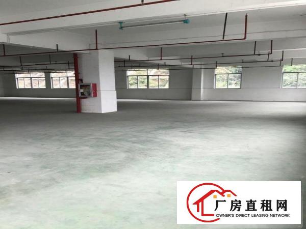 
丹竹头宝山工业区300平米独院厂房出租（房东直租）