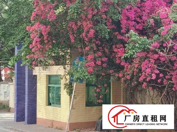 
丹竹头150-400平方米厂房带球场