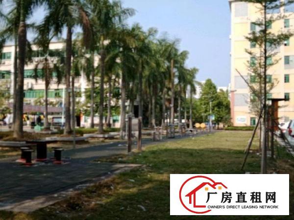 
丹竹头150-400平方米厂房带球场
