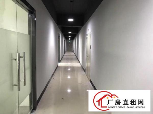 
丹竹头300平电商，仓库，组专，过消防/带卸货台