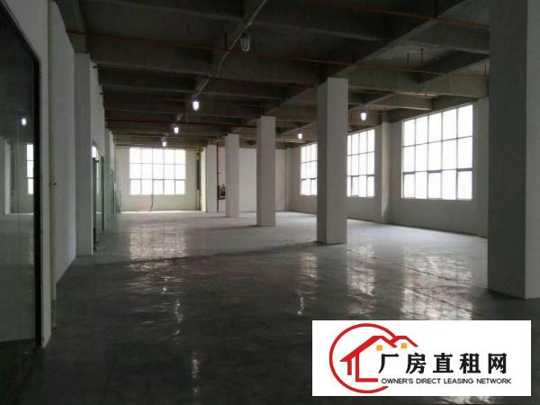 
丹竹头300平电商，仓库，组专，过消防/带卸货台