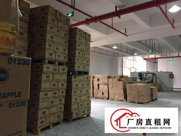 
丹竹头300平电商，仓库，组专，过消防/带卸货台