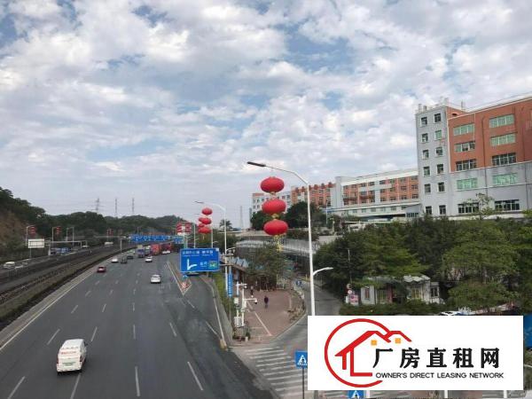 
丹竹头300平电商，仓库，组专，过消防/带卸货台