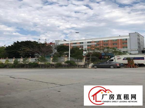 
丹竹头300平电商，仓库，组专，过消防/带卸货台