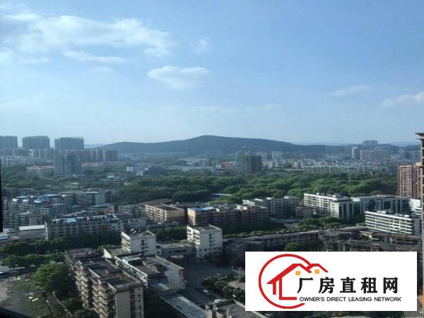 
高层观山半层750平、电商园写字楼仓库招租