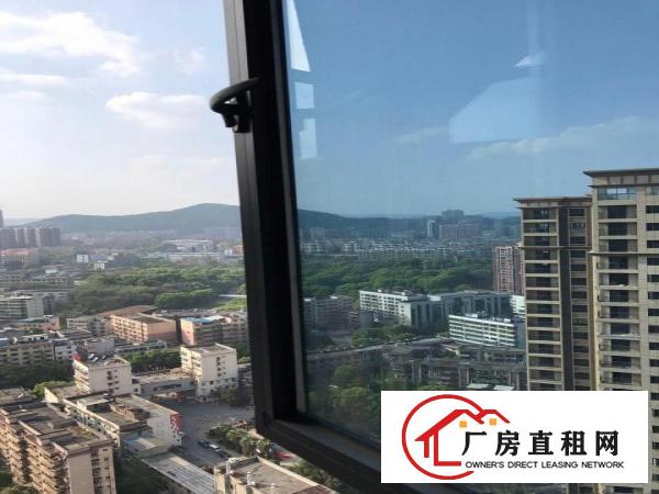 
业主直租设计室，跨境电商，近地铁口，拎包入驻