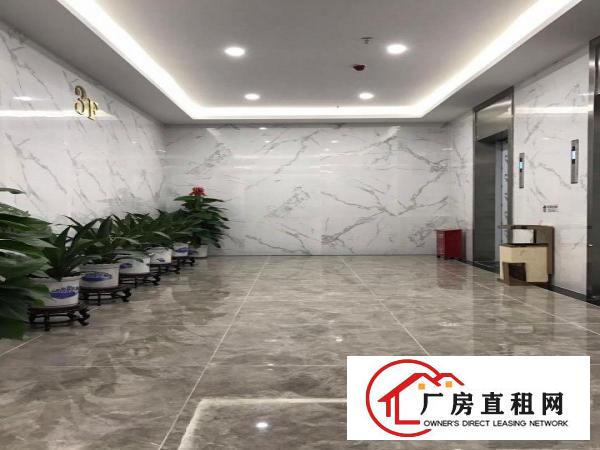 
业主直租设计室，跨境电商，近地铁口，拎包入驻