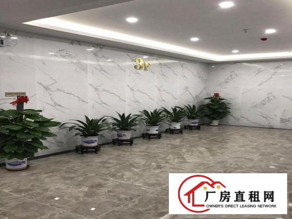 
业主直租设计室，跨境电商，近地铁口，拎包入驻