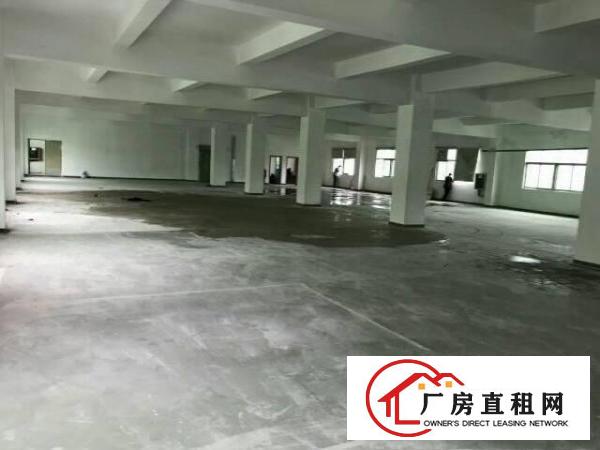 
布吉上李朗厂房8400平米，大小可分