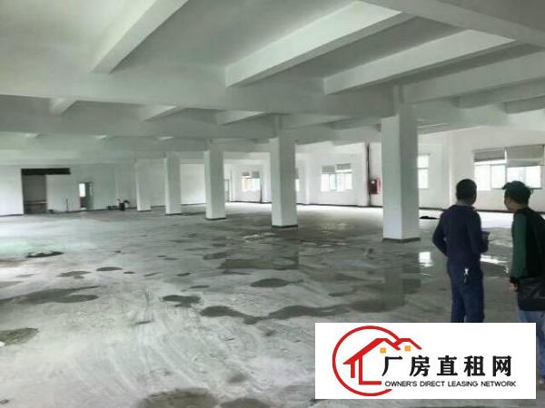 
布吉上李朗厂房8400平米，大小可分