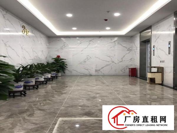 
业主直租丹竹头75平100平160平188平236平300