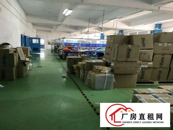 
布吉吉厦带装修15O0平厂房出租