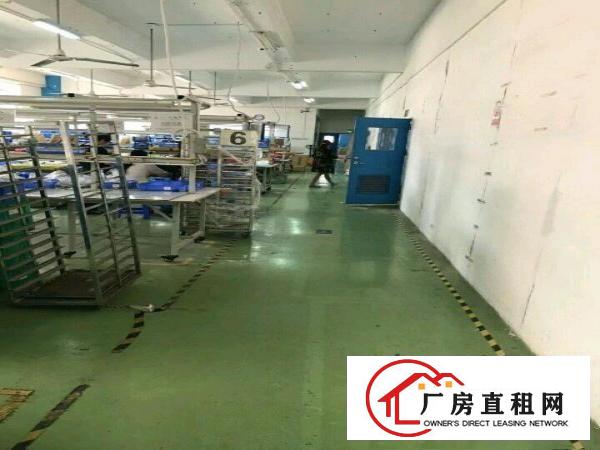 
布吉吉厦带装修15O0平厂房出租