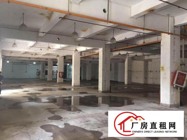 
标准一楼1580秀峰工业城