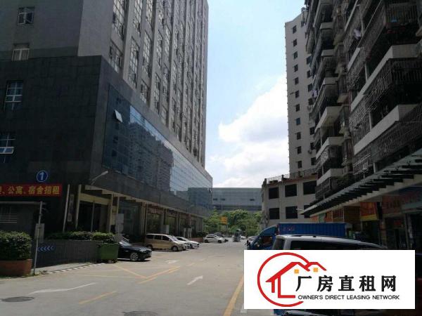 
布吉李朗全新厂房出租30000平米形象好可分租