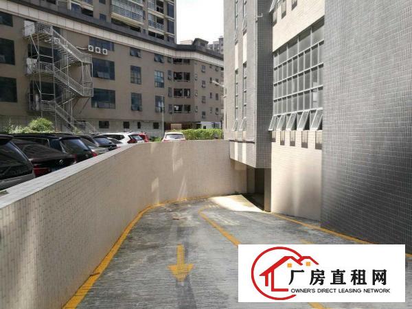 
布吉李朗全新厂房出租30000平米形象好可分租