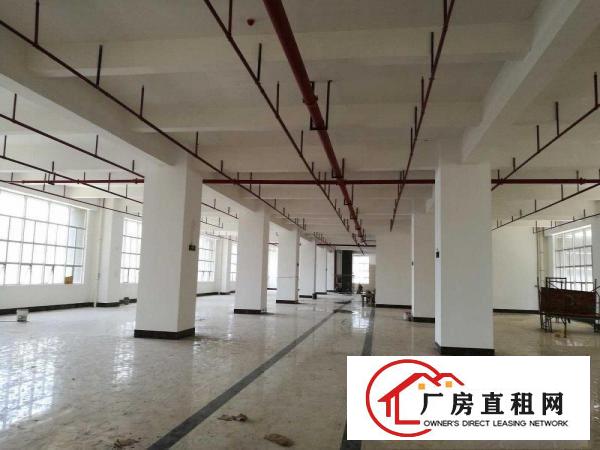 
布吉李朗全新厂房出租30000平米形象好可分租
