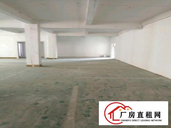 
李朗工业区100-1000平厂房仓库招租