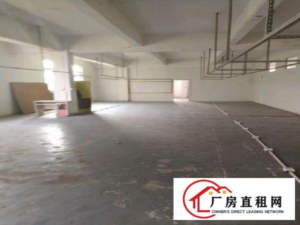 
李朗工业区100-1000平厂房仓库招租