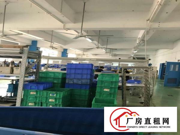 
丹竹头布吉吉厦早禾坑工业区厂房1500平米