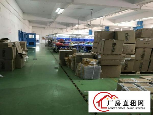 
丹竹头布吉吉厦早禾坑工业区厂房1500平米