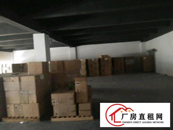 
布吉李朗带装修480平厂房出租