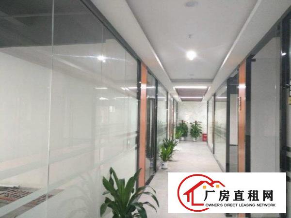 
电商展厅设计300/500/750平租金30多元