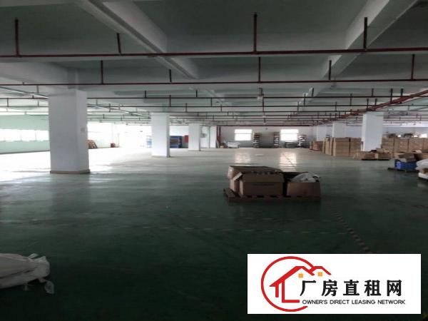 
深圳市横岗六约8000平米独院厂房出租，厂房640
