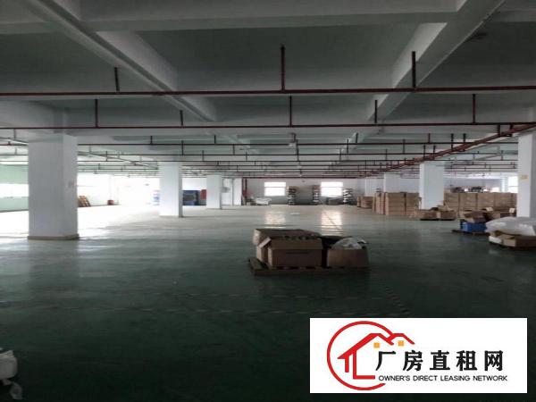 
深圳市横岗六约8000平米独院厂房出租，厂房640