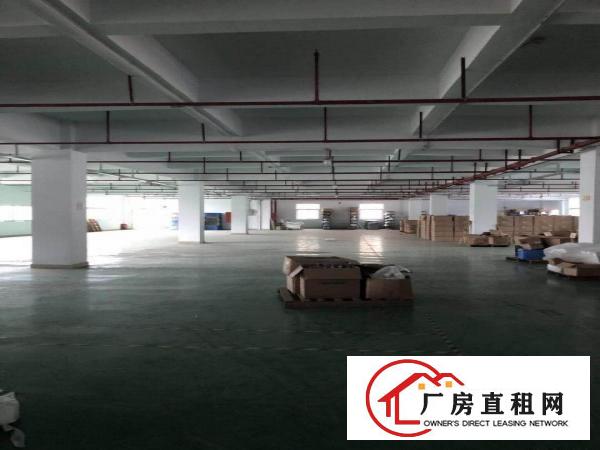 
横岗1000128015002200平米精装