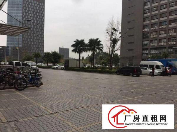 
丹竹头新建厂房带装修厂房出租2000平（可分租）