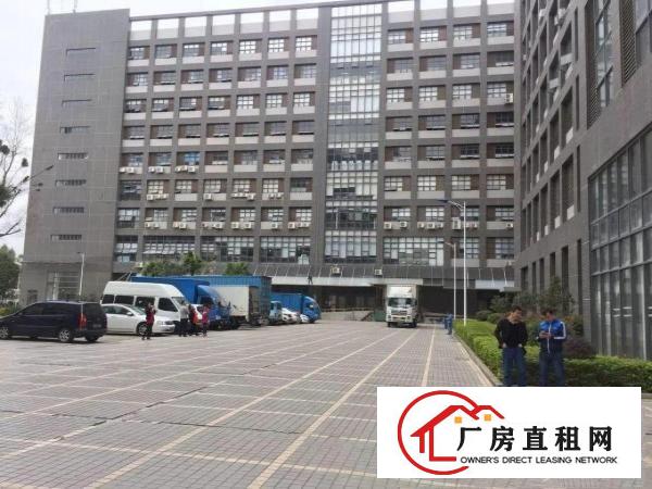 
丹竹头新建厂房带装修厂房出租2000平（可分租）